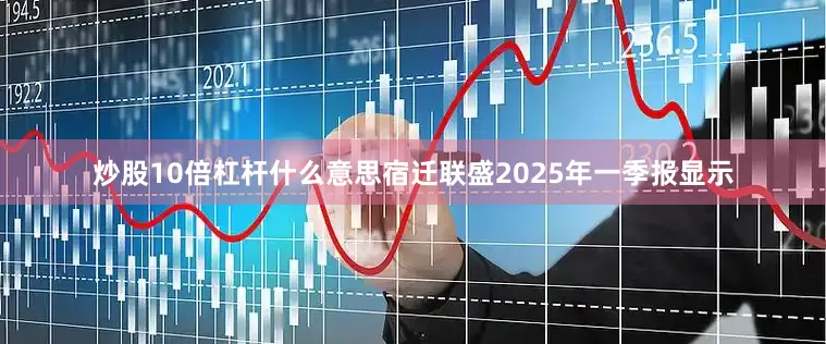 炒股10倍杠杆什么意思宿迁联盛2025年一季报显示